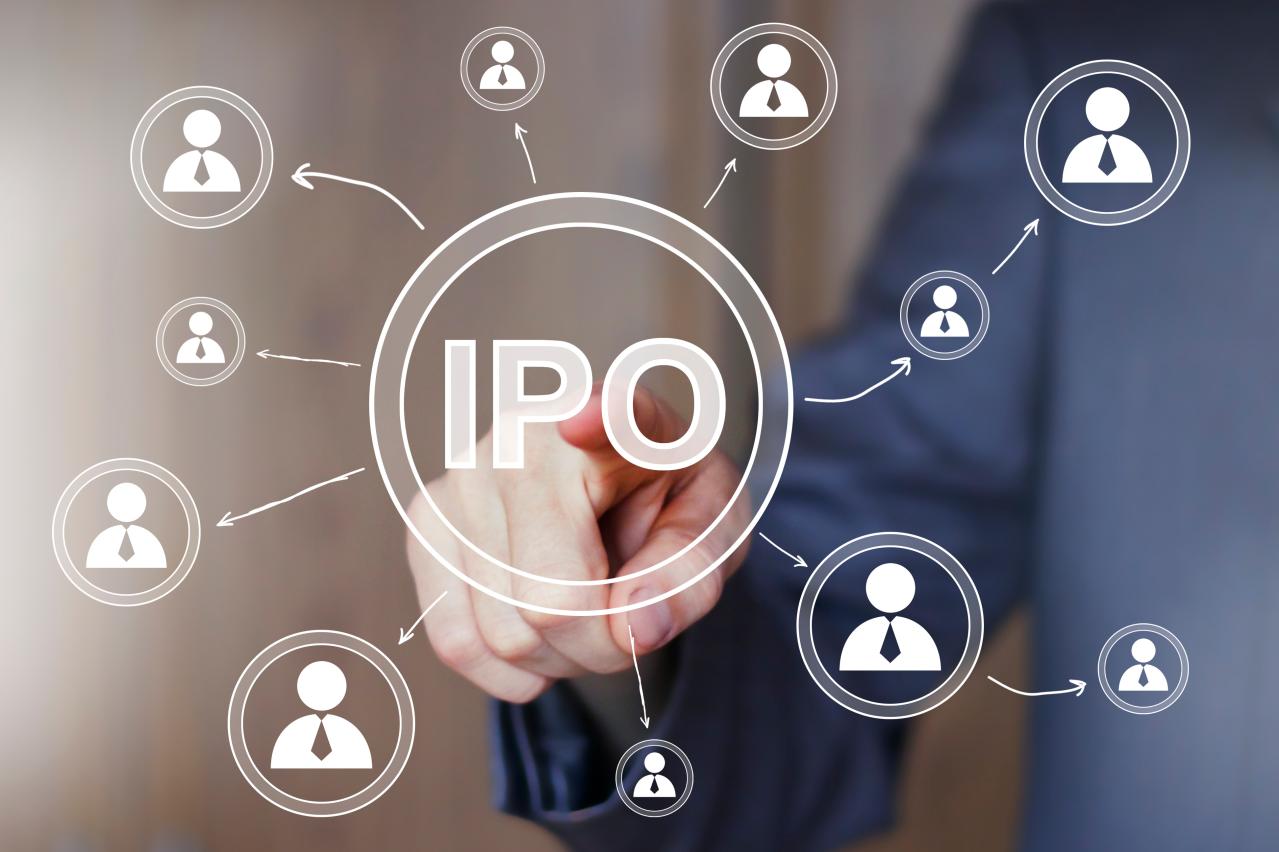 『新規株式公開（IPO）の全貌：基礎知識と投資のリスクとメリットを徹底解説』